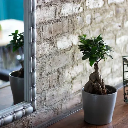 Ares Апартаменти Клуж-Напока