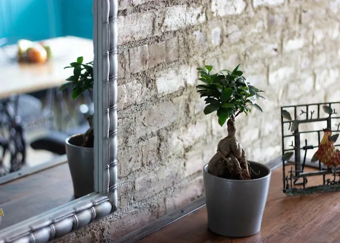 Ares Апартаменти Клуж-Напока